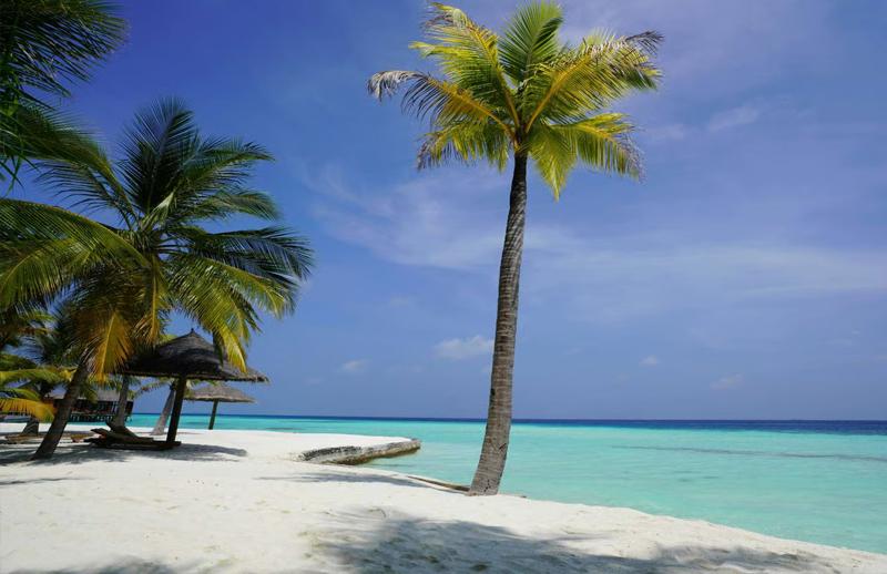 Temptation Grand Cruise